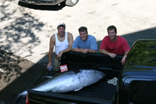 80" Bluefin on a Penn16vsx